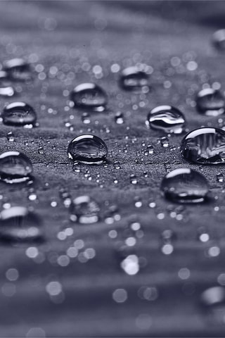 Veste Softshell - Bleu nuit