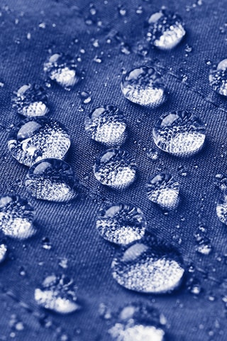 Veste Softshell - Bleu cobalt