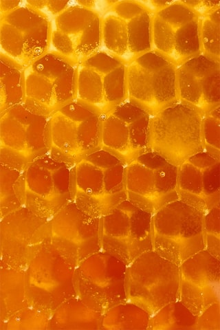 Masque cosmétique miel CBD - 140 g