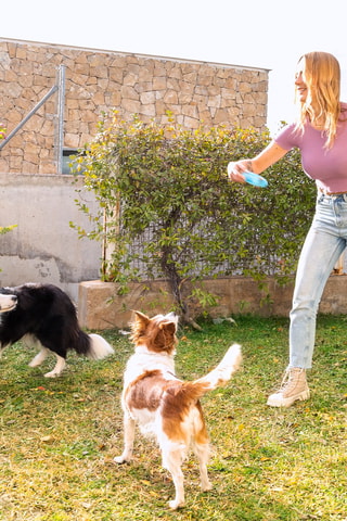 Giocattolo da masticare congelabile - 
12 x 12 cm - Blu