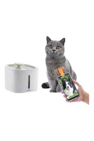 Pack fontana d'acqua e pinza per selfie per animali