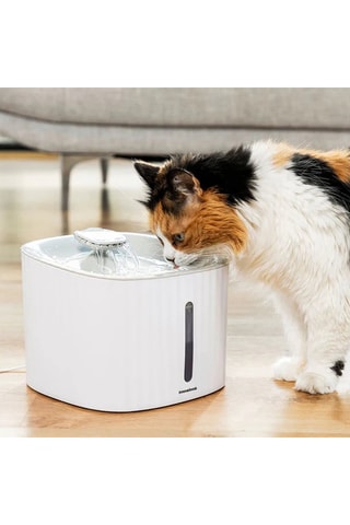 Pack fontana d'acqua e pinza per selfie per animali