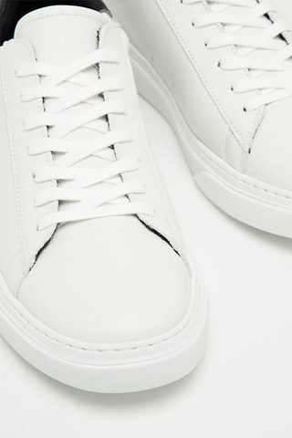 Sneakers. Wit en Zwart