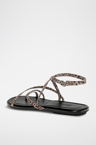 Sandalen - Lichtgrijs en Donkerbruin