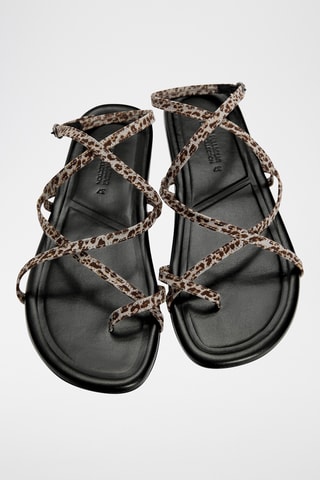 Sandalen - Lichtgrijs en Donkerbruin