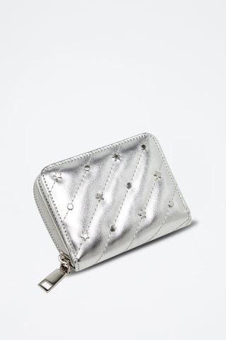 Portefeuille Zilverkleurig