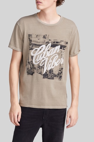 T-shirt em algodão biológico - Caqui - IKKS