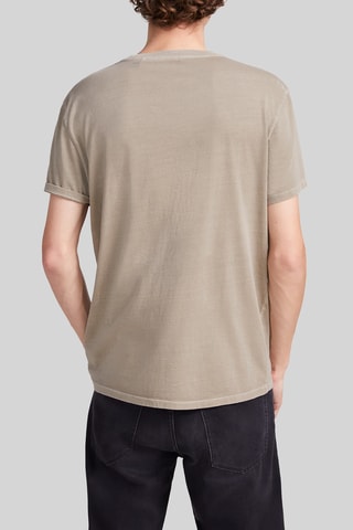 T-shirt em algodão biológico - Caqui - IKKS