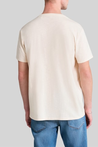 T-shirt em algodão biológico - Marfim - IKKS