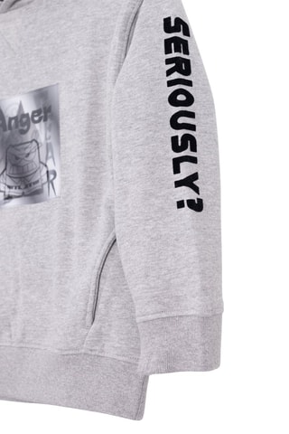 Sweat à capuche en coton biologique Fear Vice-Vesa Disney Pixar - Gris chiné