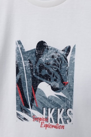 T-shirt em algodão biológico - Branco - IKKS