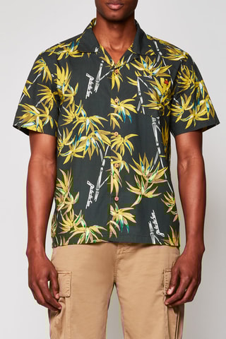 Camisa - Verde oscuro