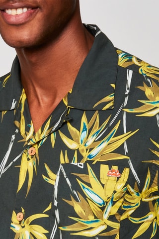 Camisa - Verde oscuro