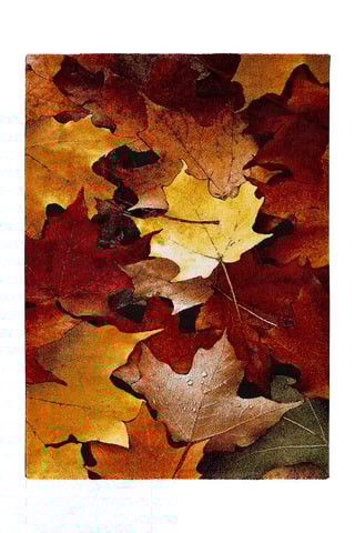 Vloerkleed Koby Oranje en Bordeauxrood