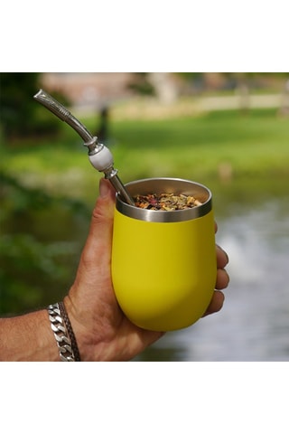 Maté Pêche Abricotée Bio - Sachet de 150 g