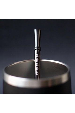 Paille en acier inoxydable - Noir