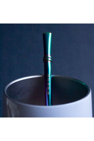 Paille en acier inoxydable - Multicolore