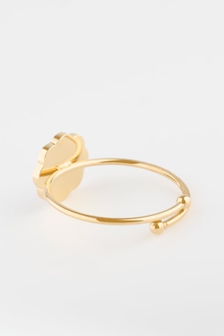 Bague Doré et marron