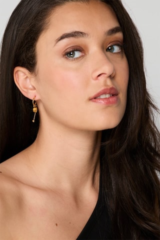 Boucles d’oreilles - Œils-de-tigre