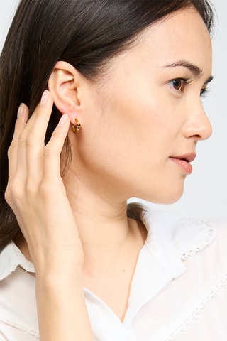 Créoles Marron et doré