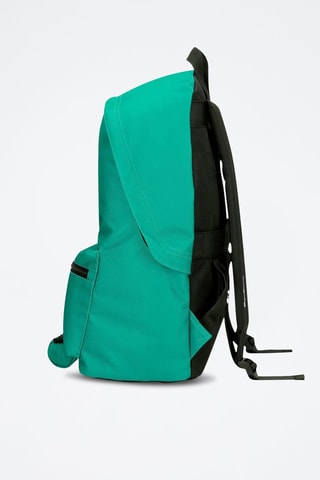  Rugtas en Etui Aris Evergreen - Groen 
