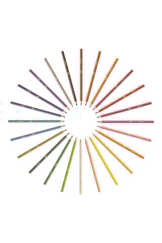 24 Kleurpotloden Evolution Stripes