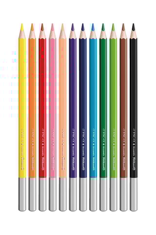 12 Kleurpotloden - Multicolor