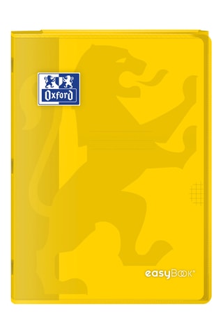 10 3-in-1 Schriften Easybook - 10 x 96 pagina's - Willekeurig Model