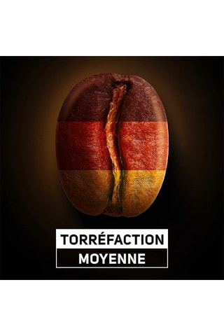 Café en grains classique 100% Arabica - Certifié Rainforest Alliance - 2 x 1 kg