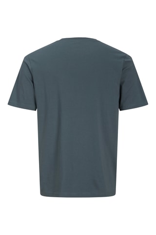 T-shirt regular - Gris