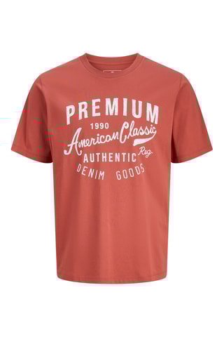 T-shirt regular en coton biologique - Rouge brique