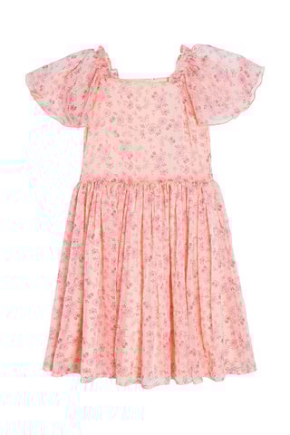 Robe Rose