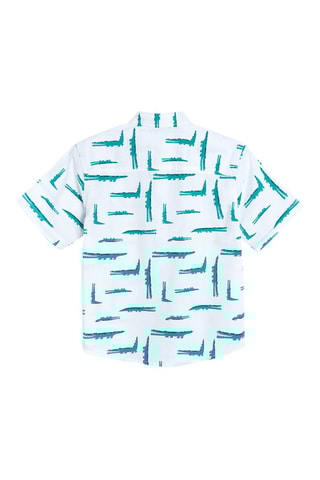 Chemise Blanc et vert