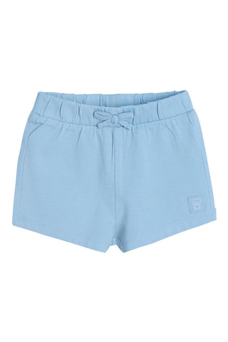 2 shorts Bleu et gris
