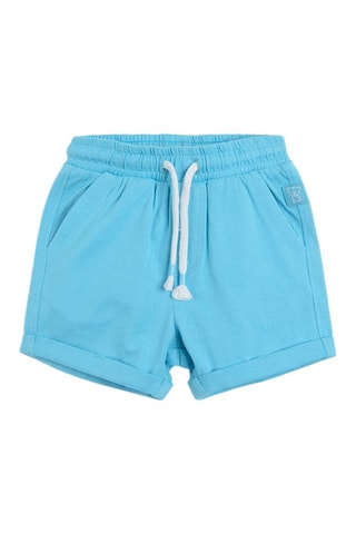 2 shorts Vert et turquoise