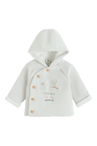 Sweat à capuche en velours - Gris clair