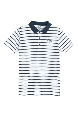 Polo - Blanc et bleu nuit