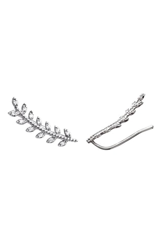 Puces Victoria - Argent