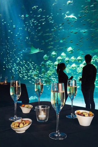 6 flûtes en cristallin Séquence - 17 cl