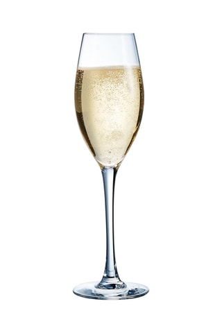 6 flûtes en cristallin Séquence - 24 cl