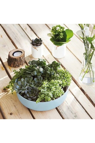 Saladier  Diwali -  22 cm