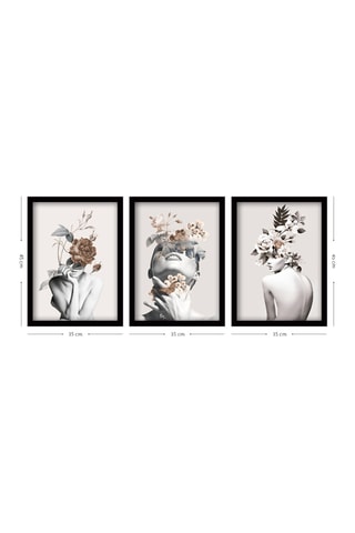 3 Wanddecoraties Claude2 -  35 x 45 cm