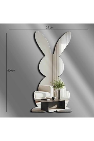 Spiegel - 24 x 50 cm