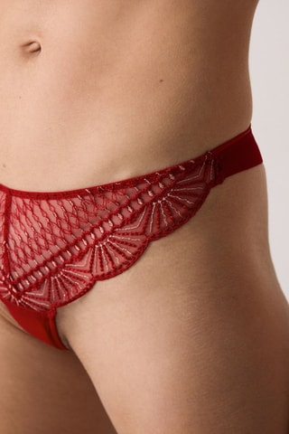 Tanga Rosace - Rood