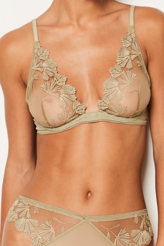 Tanga Palmes - Caqui