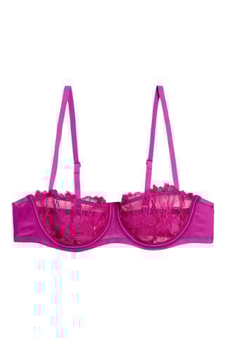 Beha Amaryllis -  Fuchsia