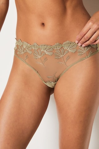 Cueca Palmes - Caqui