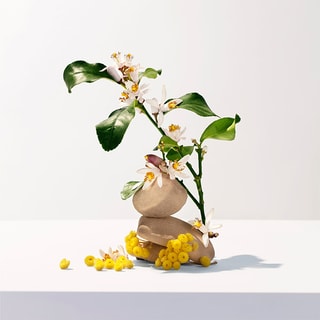 Néroli Roger & Gallet - Eau de parfum 100 ml