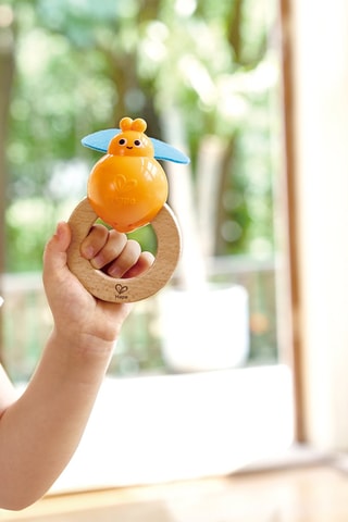 Conjunto de percussões da natureza - Dos 2 aos 6 anos