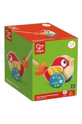 Pássaro musical de empurrar em faia - A partir dos 12 meses